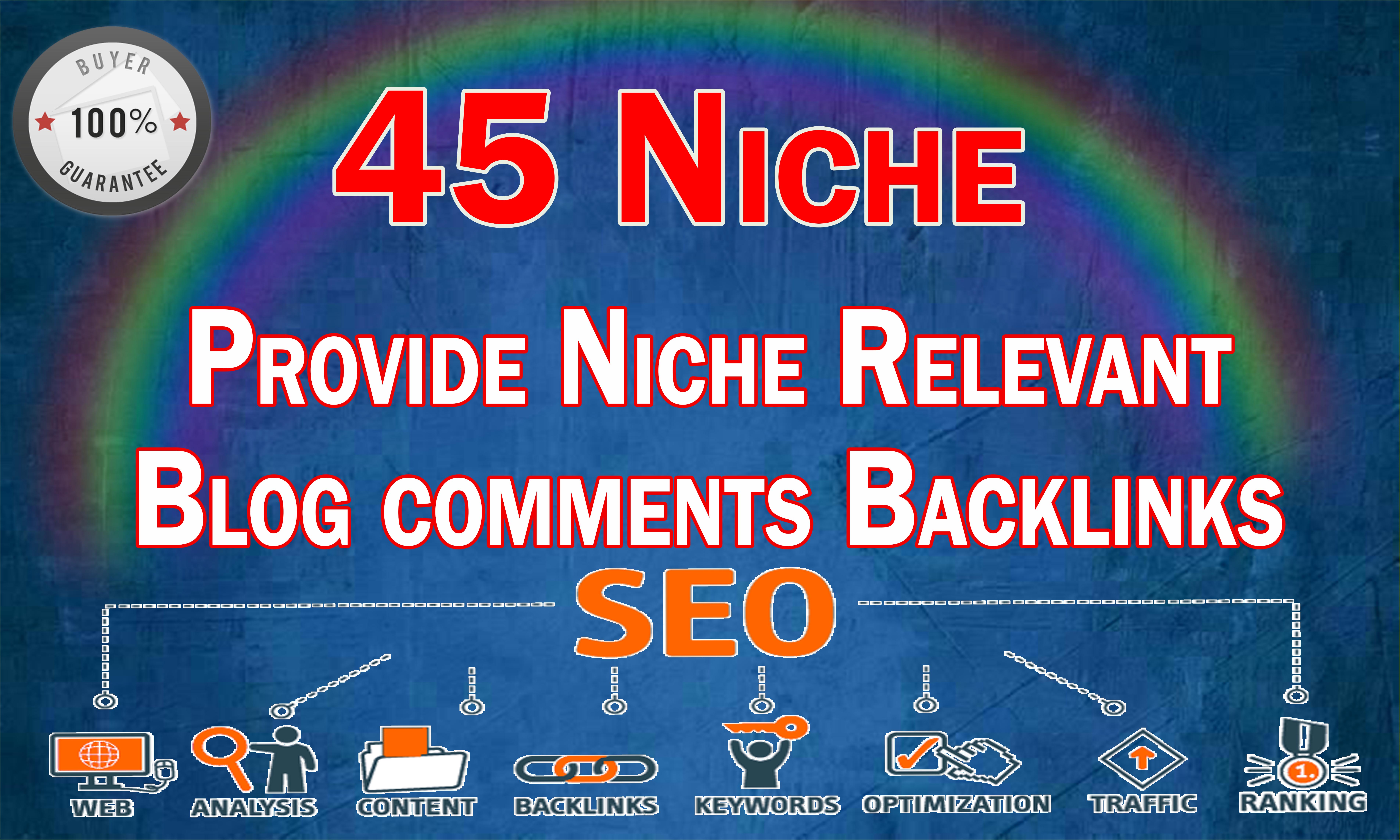 do 45 SEO niche relevant backlinks to website