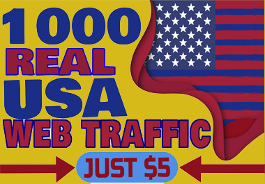 I will drive 1000+ real USA human seo friendly worldw...
