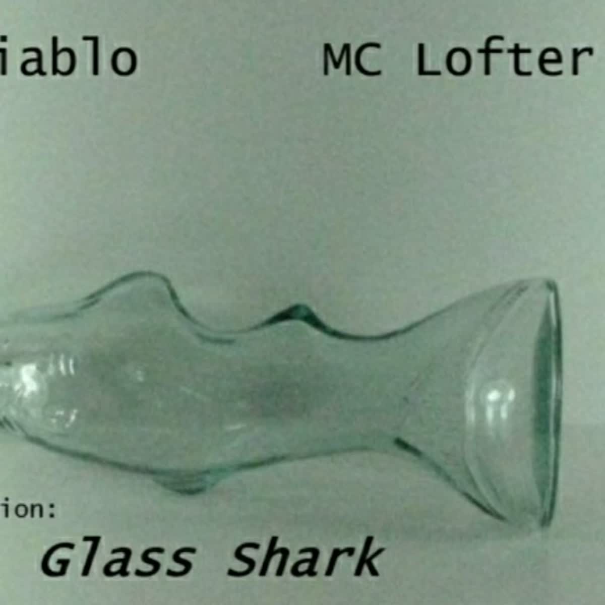 I Will Write And Rap In Any Style You Need For Cheap