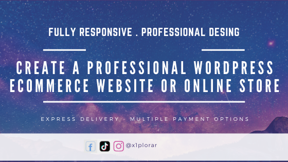 create a professional wordpress website or online store