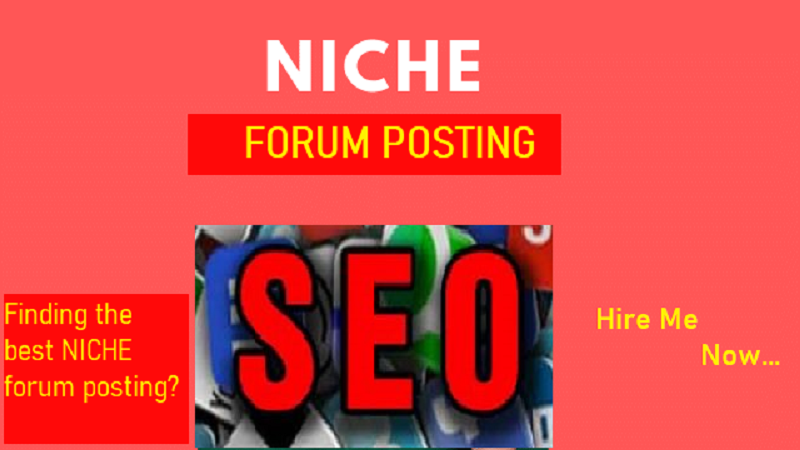 I can do 10 niche relevant backlinks