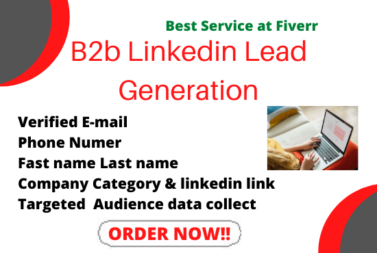 I Will Do B2B Lead Generation,Data Entry, ANd Web Research