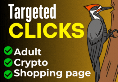 Experience the best adult web traffic