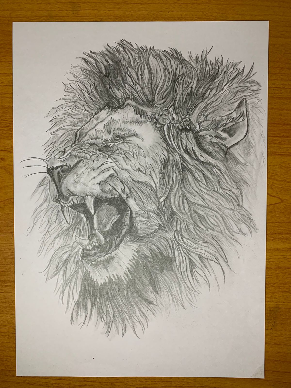 I will draw realistic pencil portrait from a photo in 24 hour