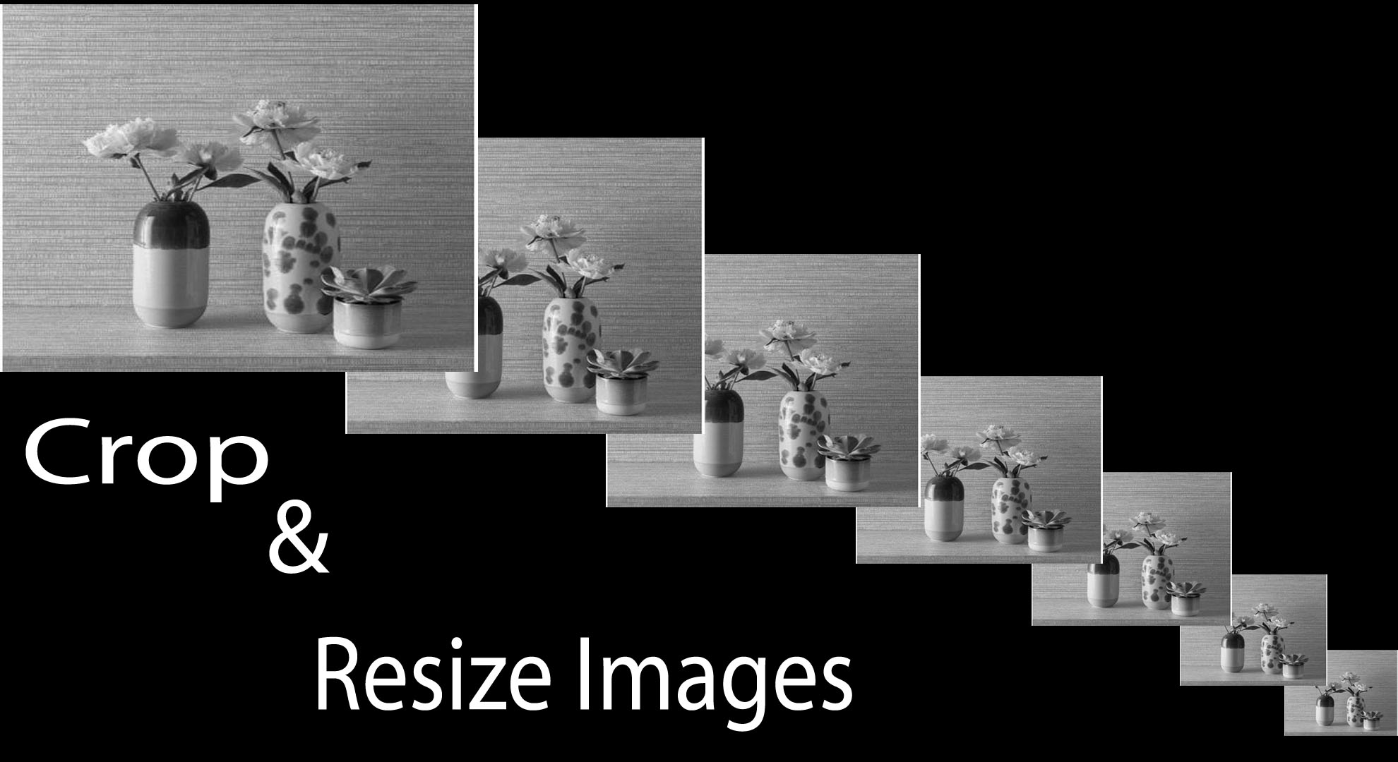 I will crop and Resize 100 Images,Photos,any thing