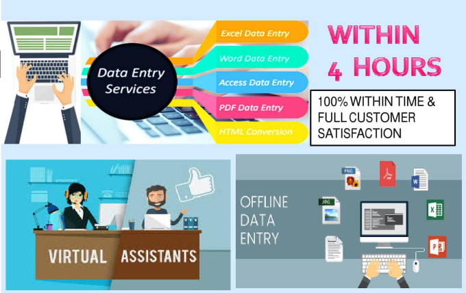 I am professional virtual assistant for data entry work