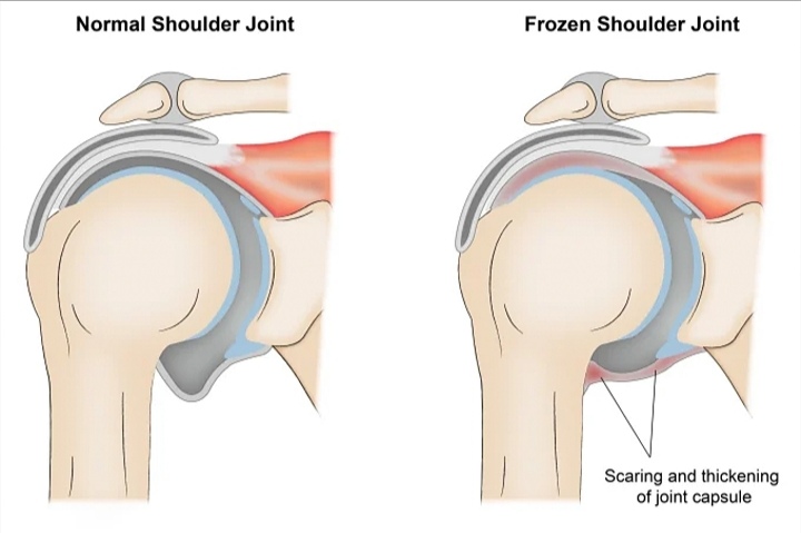 I will design superb medical,scientific illustration,infographic