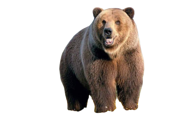 I will remove the background of 40 photos very quickly