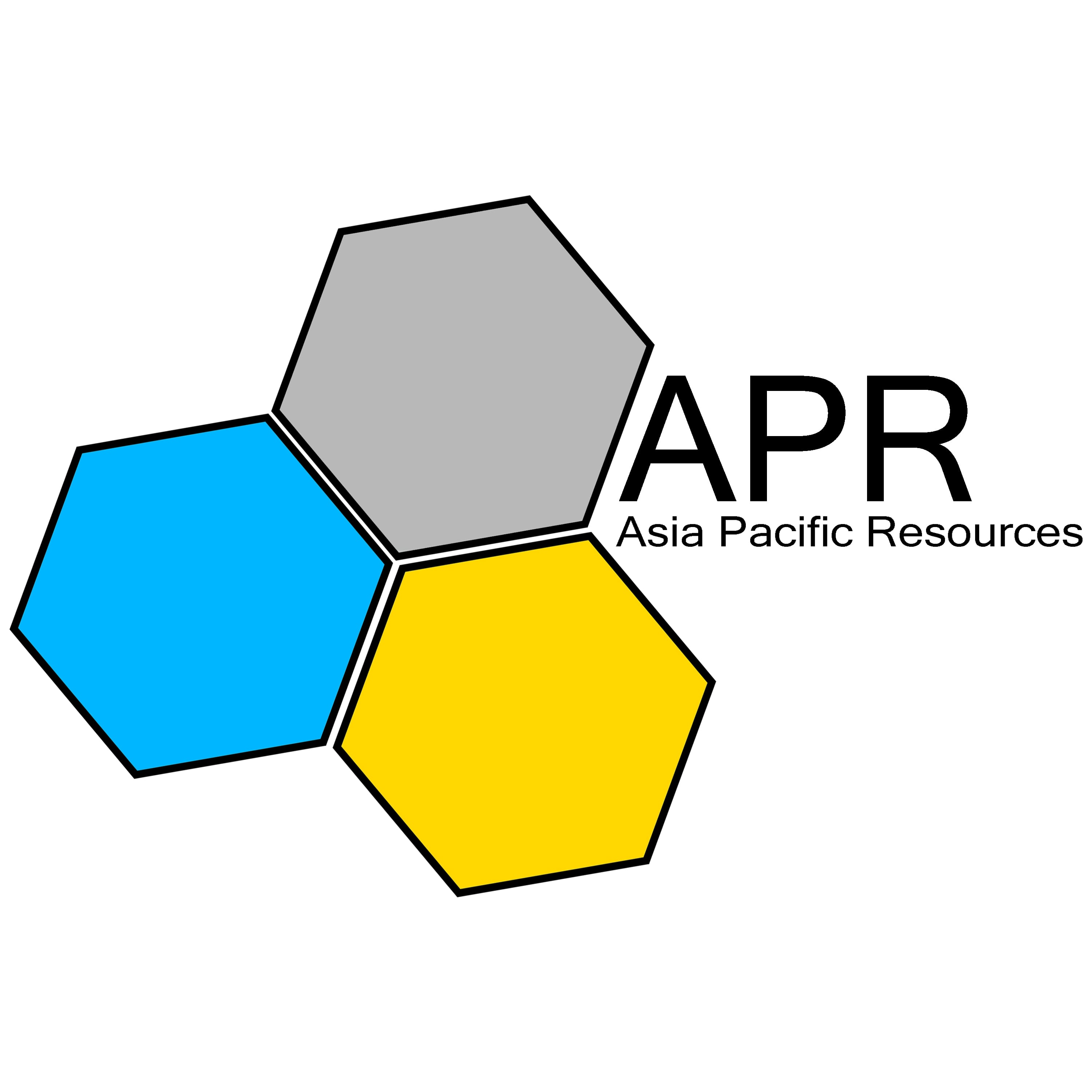 I will design a modern Logo for you