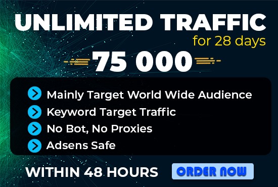 send 75000 real human keyword target website traffic or visitors to your blogs