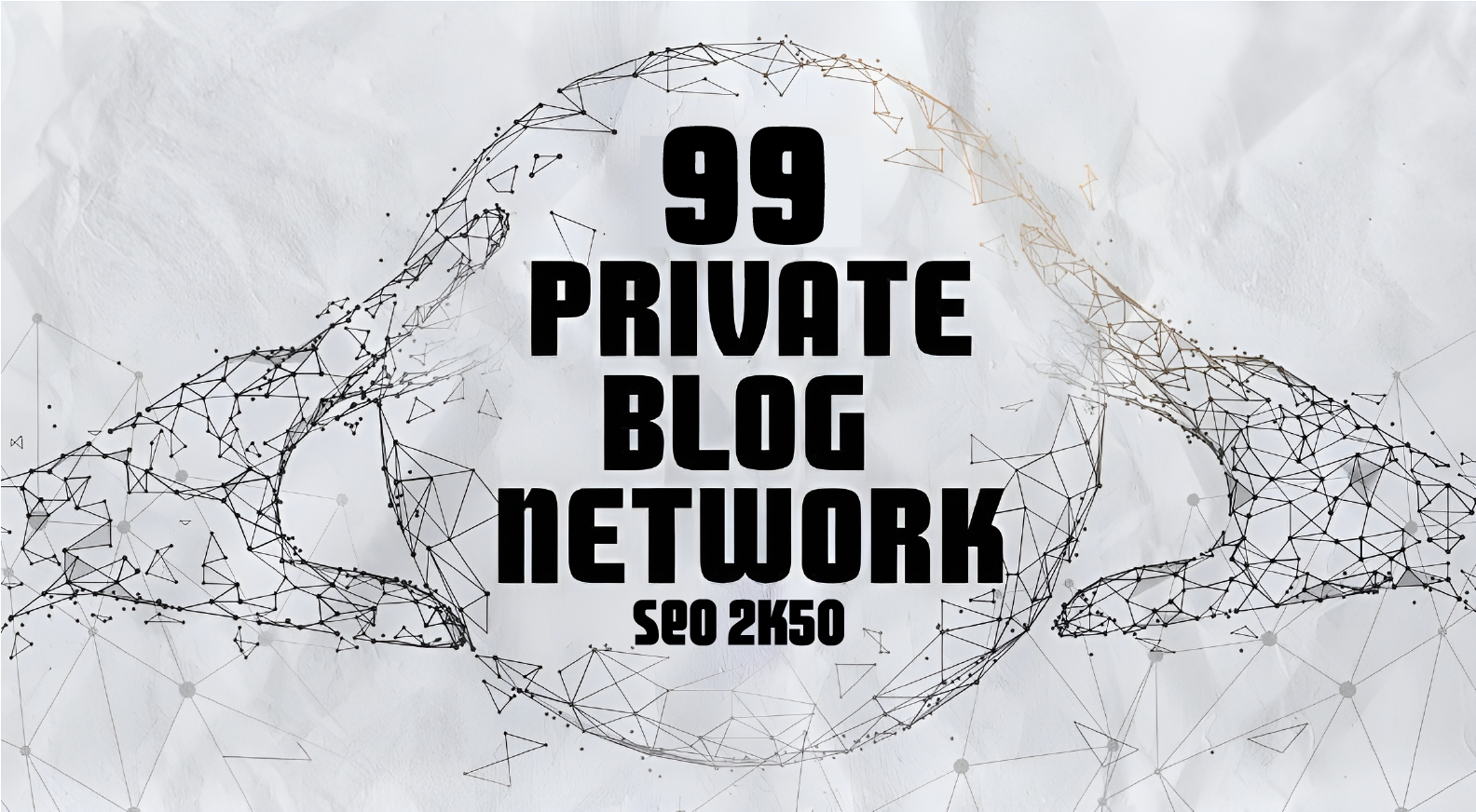 BUILD TOP QUALITY PREMIUM 99 PBN HOMEPAGE DR DA 50 PLUS PA 40 DO-FOLLOW BACKLINKS