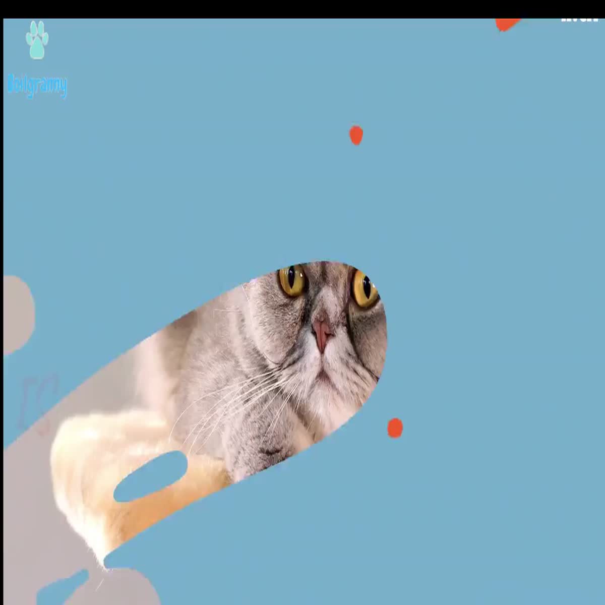 I will create an engaging video commercial for your b...