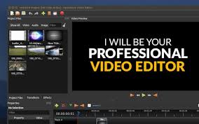 I will do professional video editing in under 24 hours