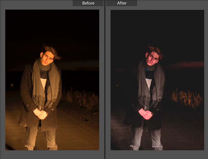 i will professionally edit your pictures on adobe lightroom