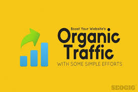 I will drive safe genuine organic traffic