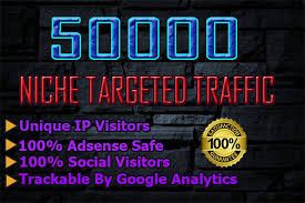 I will drive 50k usa niche targeted,visitors website,traffic
