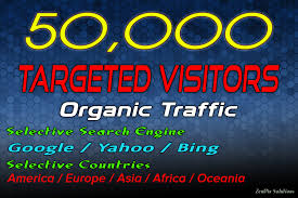 I will drive 50k usa niche targeted,visitors website,traffic