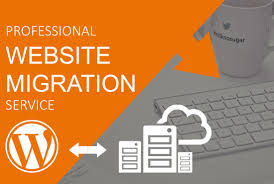 I will migrate wordpress website in 24hours