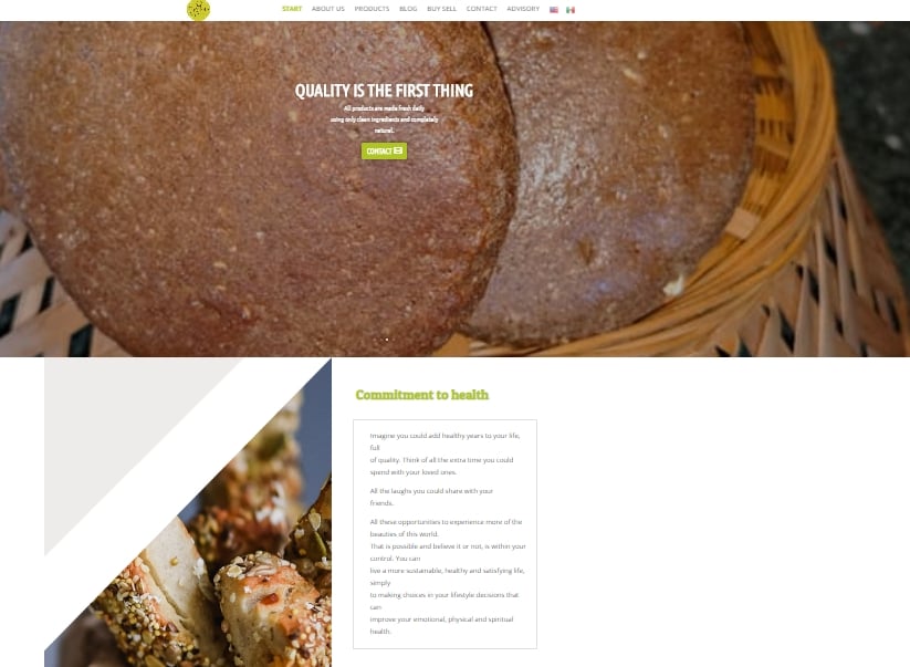 I will design responsive wordpress website with divi theme