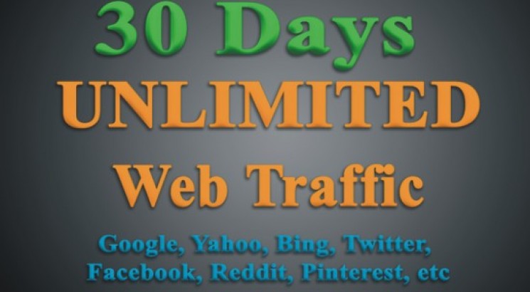 Unlimited US only Google targeted website web traffic for 30 days 