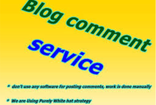 I will do 600 blog comments backlink