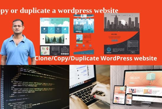 I will fix wp error, wordpress, debug, theme,template, issue 
