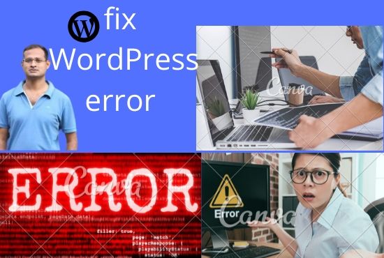  I will fix wp error, wordpress, debug, theme,template, issue 