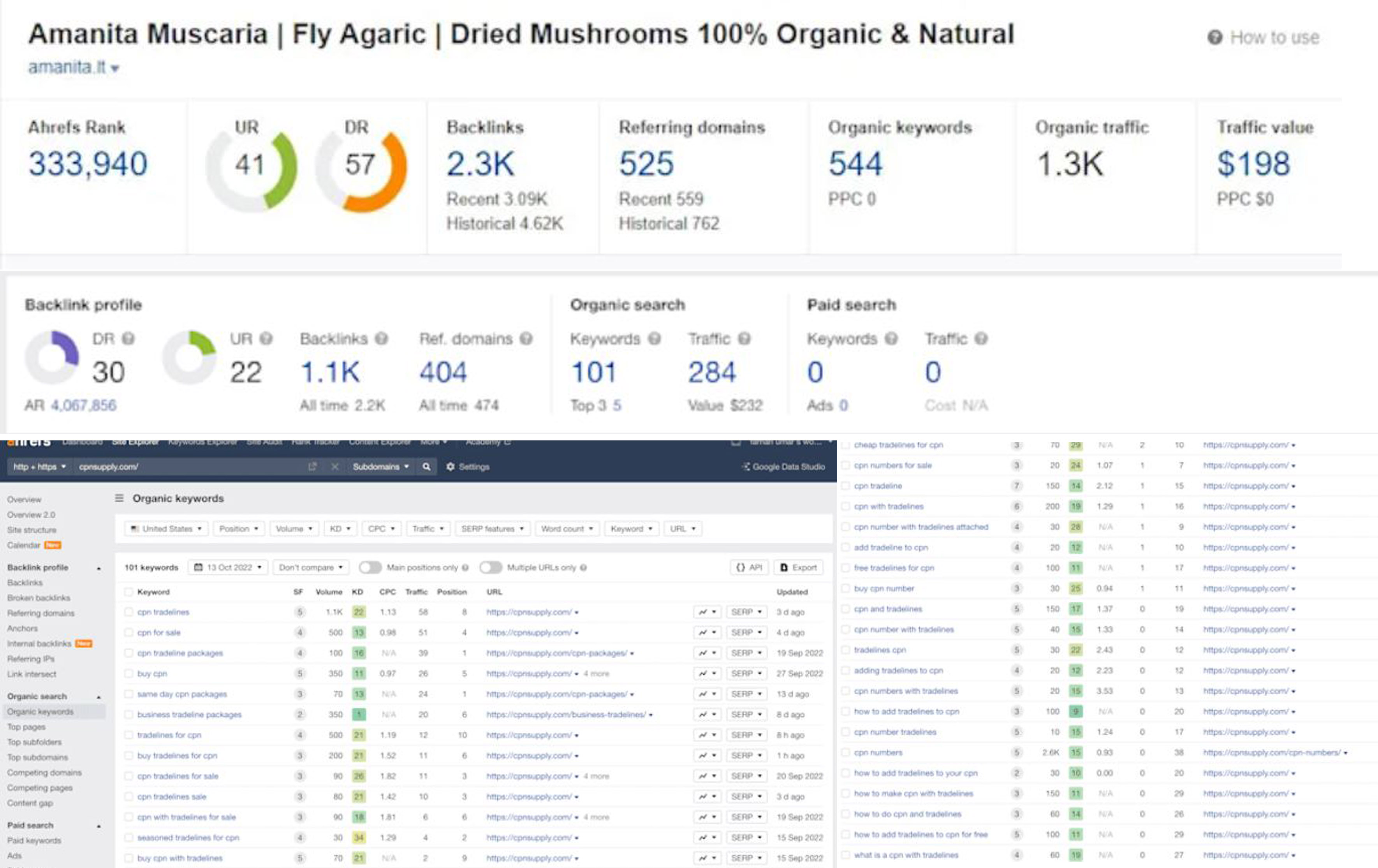 I will Provide Monthly SEO Service For Your Ranking