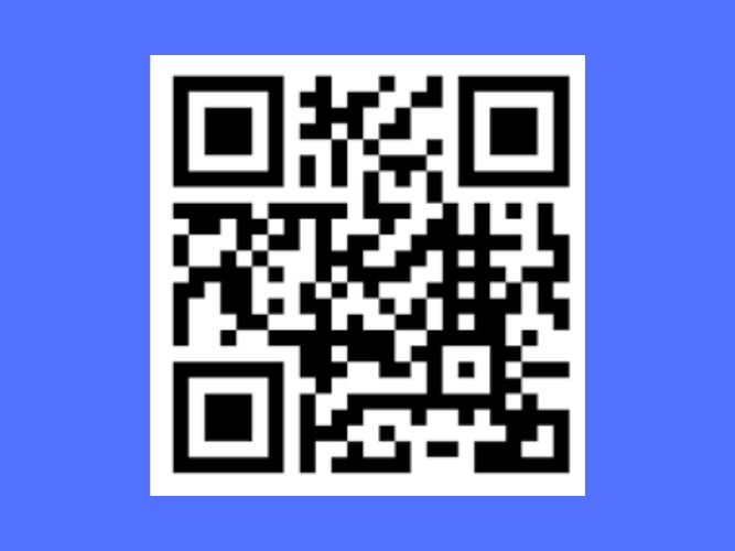  I will Customise a QR code for you