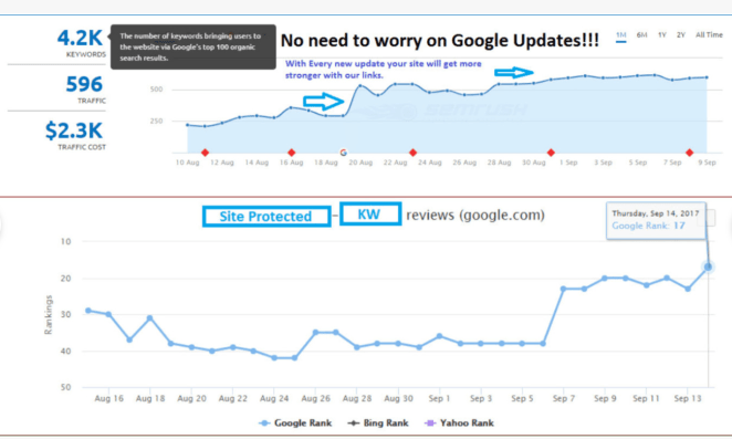 I will make high quality da 40 plus 1000 SEO backlinks