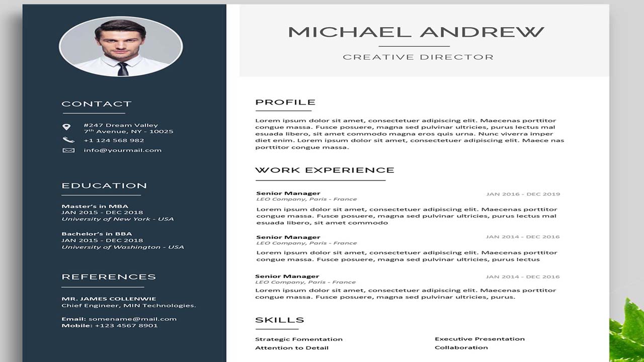 create professional resume and cv in 4 hour