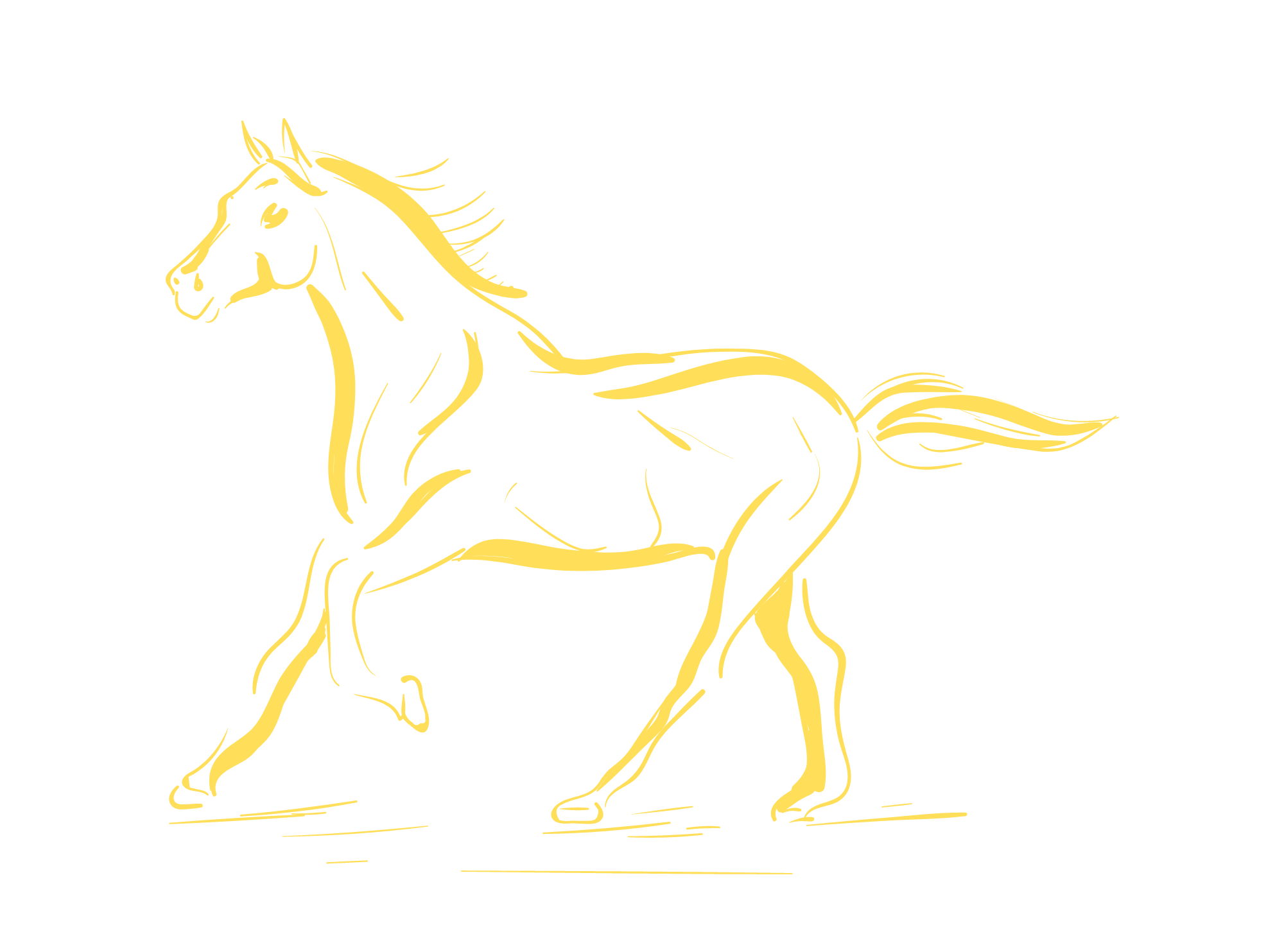 I WILL Do Perfect Professional Logo Design 