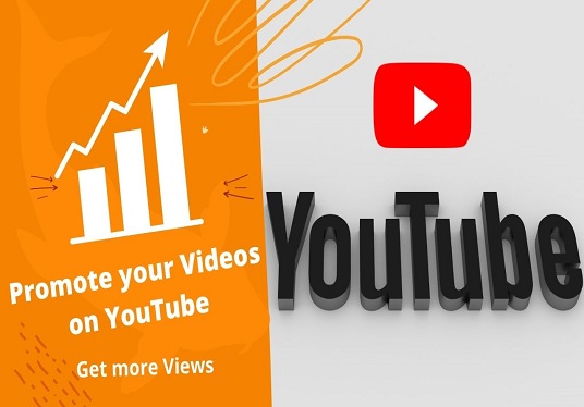 I will do perfact youtube seo to rank your videos.