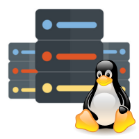 Best Cpael Web Hosting with 100% Uptime 24/7 Customer Support