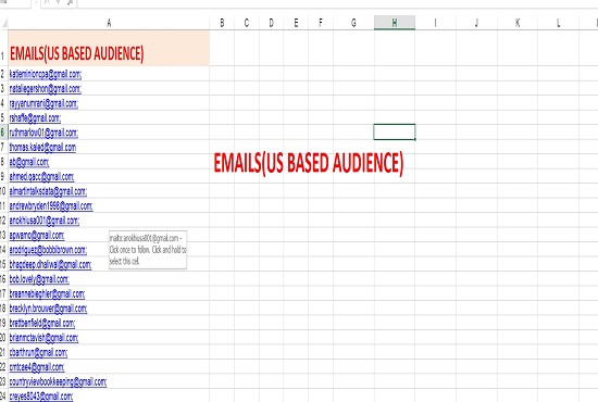 I will deliver 5k USA active email list for email marketing