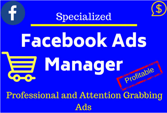 I will manage Your facebook Business Page and create FB ads