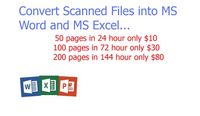 I will do english typing job, 50 pages in 24 hours, your typist