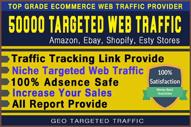 Targeted Website Traffic to Your Website Store
