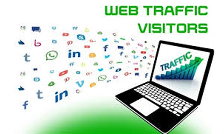 Real organic traffic daily 100+ visitors to your site...