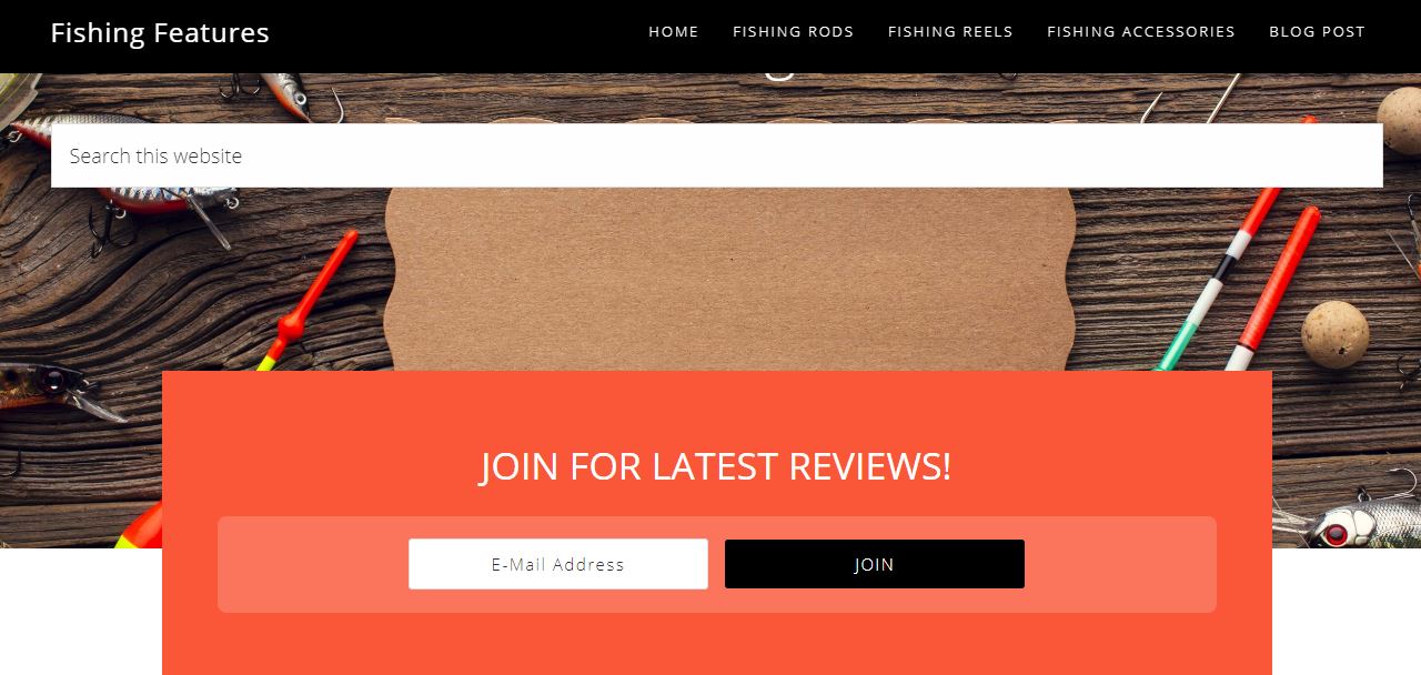 Build niche or micro niche website for adsense or amazon affiliate 