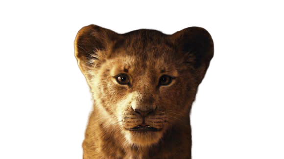 Removing any background for the best price