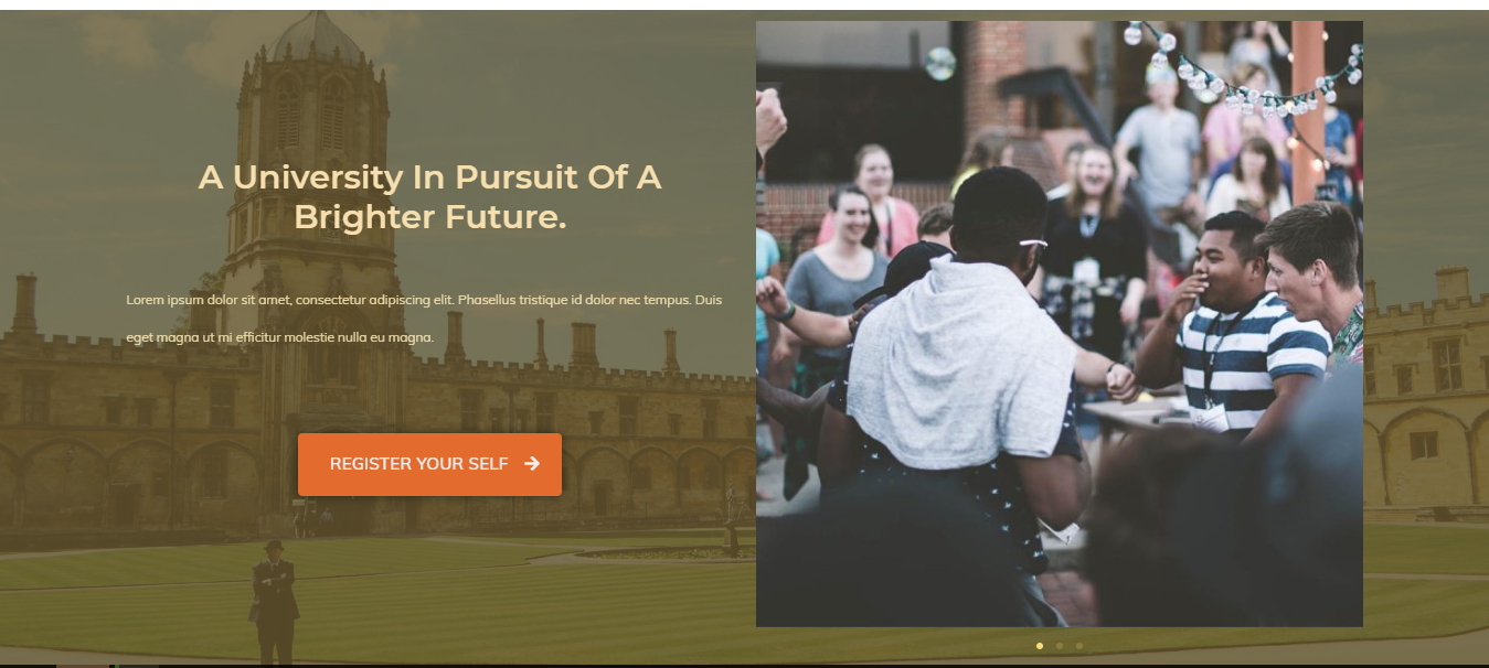 create wordpress website, blogger website for small business 