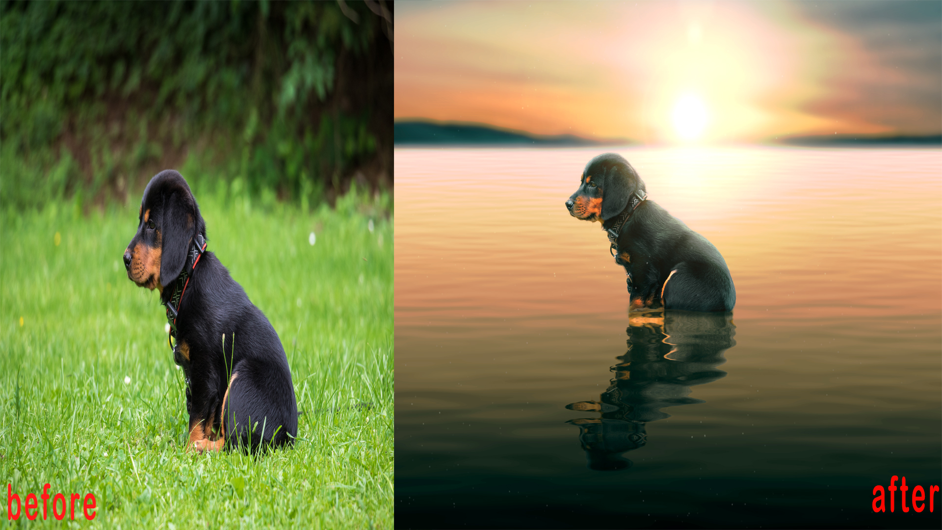 i can do photoshop editing professionally in less than 8 hours