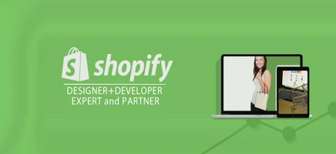 I will setup,edit theme shopify or any thing about shopify api