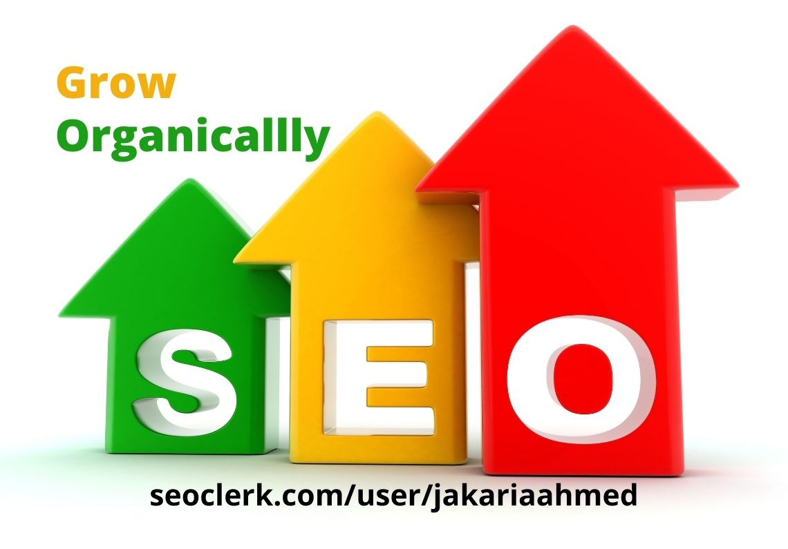 Manual and White Hat On page SEO and Technical SEO for your Website