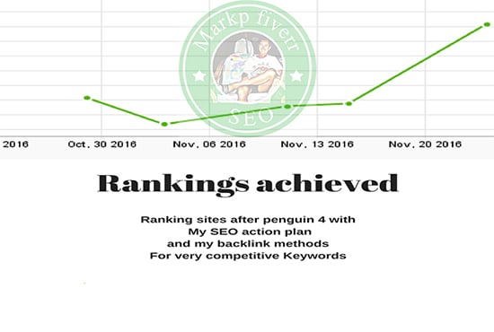 I will create a diverse SEO campaign for your website