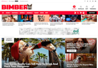 create professional viral adsense arbitrage 