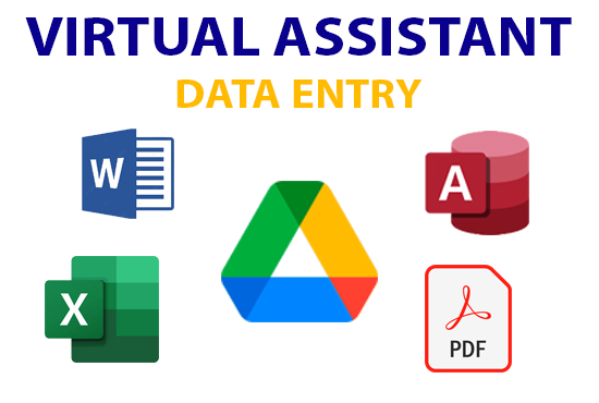 I will be your virtual assistant for data entry or any