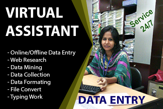 I will be your virtual assistant for data entry or any