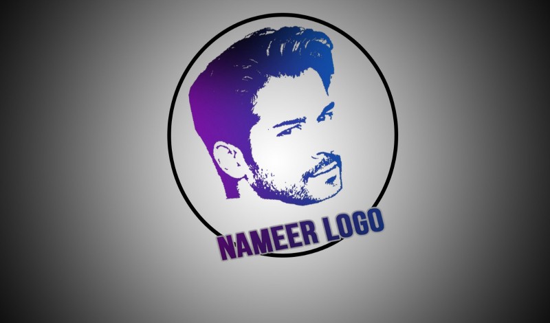 will do sensational, professional 2 logo design in 10 hours